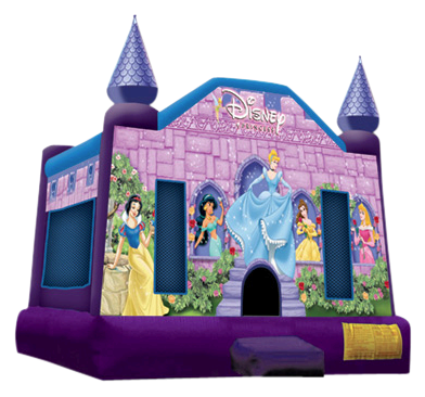 Disney Princess Castle Disney Princess Castle