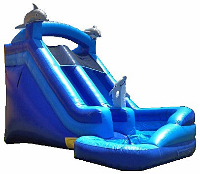 Dolphin Mega Water Slide Dolphin Mega Water Slide
