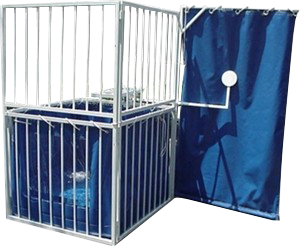 Dunk Tank Dunk Tank