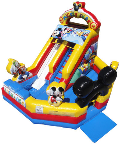 Mickey Slide Park Wet/Dry Mickey Slide Park Wet/Dry